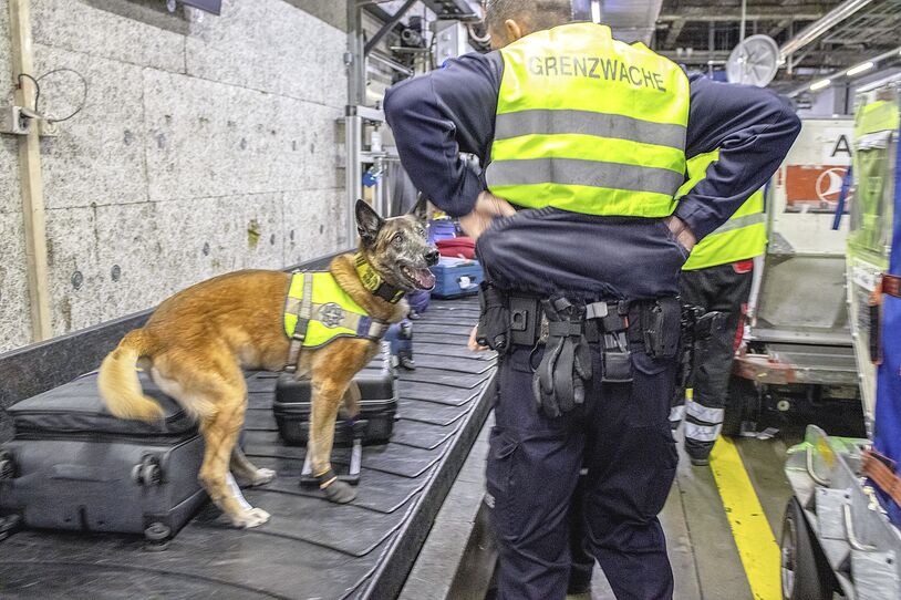 Die 11-jährige Diensthündin Finja gehört zu den Erfahrenen.