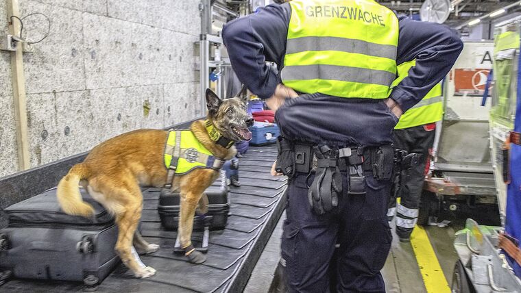 Die 11-jährige Diensthündin Finja gehört zu den Erfahrenen.